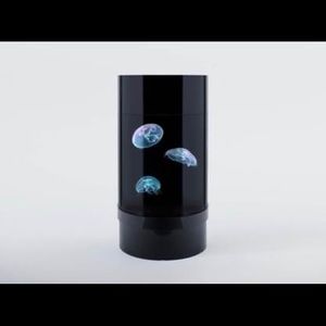 Jellyfish Nano Tank